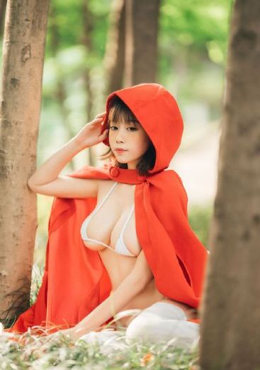 九重紫电视剧免费观看在线
