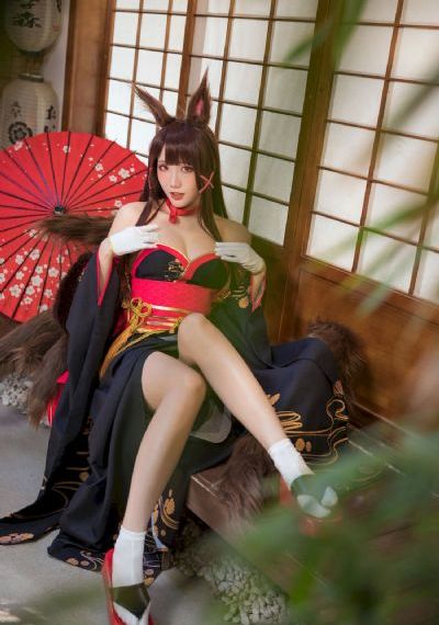 欧美二区视频