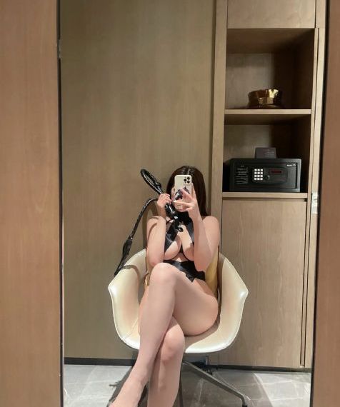 番茄视频在线观看