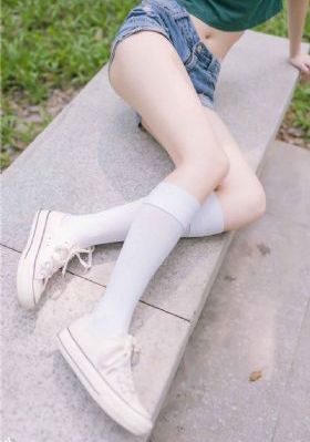 神龙星主动漫免费观看完整版